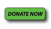Donate Button